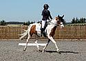 Novice236
