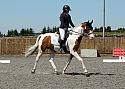 Novice237