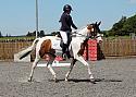 Novice238