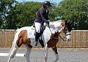 Novice246