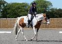 Novice247