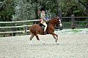 SKSeptRing1R0076