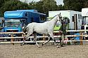 SKSeptRing2IH0668