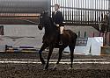 Novice
