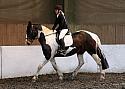 Novice11