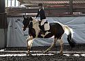 Novice13