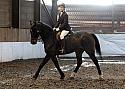 Novice2