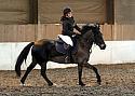 Novice70