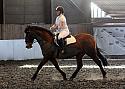 Novice75