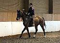 Novice91