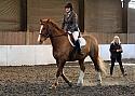 Novice93