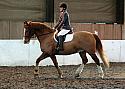 Novice94