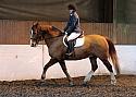 Novice96