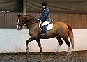 Novice97