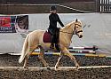 Team Dressage