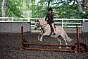 Turlood Open Show Working Hunter September 2025