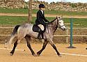 Wittering Academy Dressage April 2017