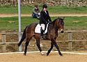 Novice 28