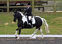 Wittering Academy Dressage April 2018