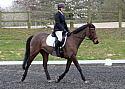 c425