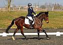 Wittering Academy Dressage February 2018