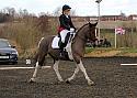 novice009