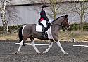 novice011