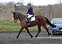 novice023