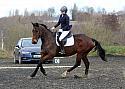 novice028