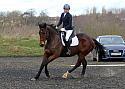 novice029