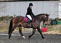 novice031