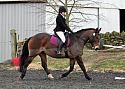 novice032