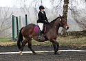 novice035