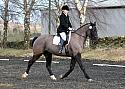 novice040