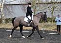 novice041