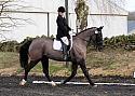 novice042