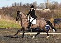 novice043