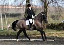 novice045