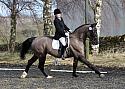 novice046