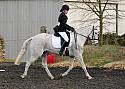 novice049