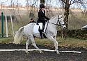 novice054