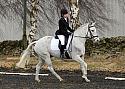 novice056