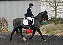 novice057