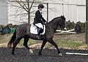 novice058