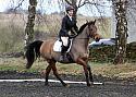 novice067