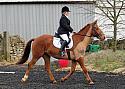 novice069
