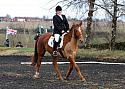 novice072