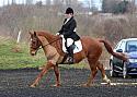 novice073