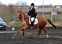 novice075