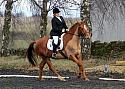 novice076